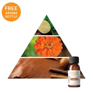 INN AROMA Diffuser Powered by iS- iServices®