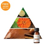 INN AROMA Diffuser Powered by iS- iServices®