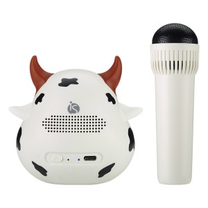 Karaoke Set voor Kinderen - iServices online winkel