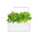 Zadencapsules Click and Grow - iServices®