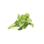 Zadencapsules Click and Grow - iServices®