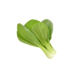 Pak Choi Click and Grow