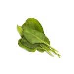 Acelga Verde Click and Grow