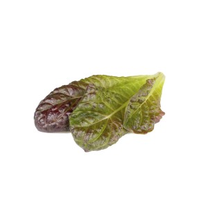 Alface Romana Vermelha Click and Grow
