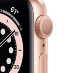 Apple Watch Series 6 - Online winkel iServices®